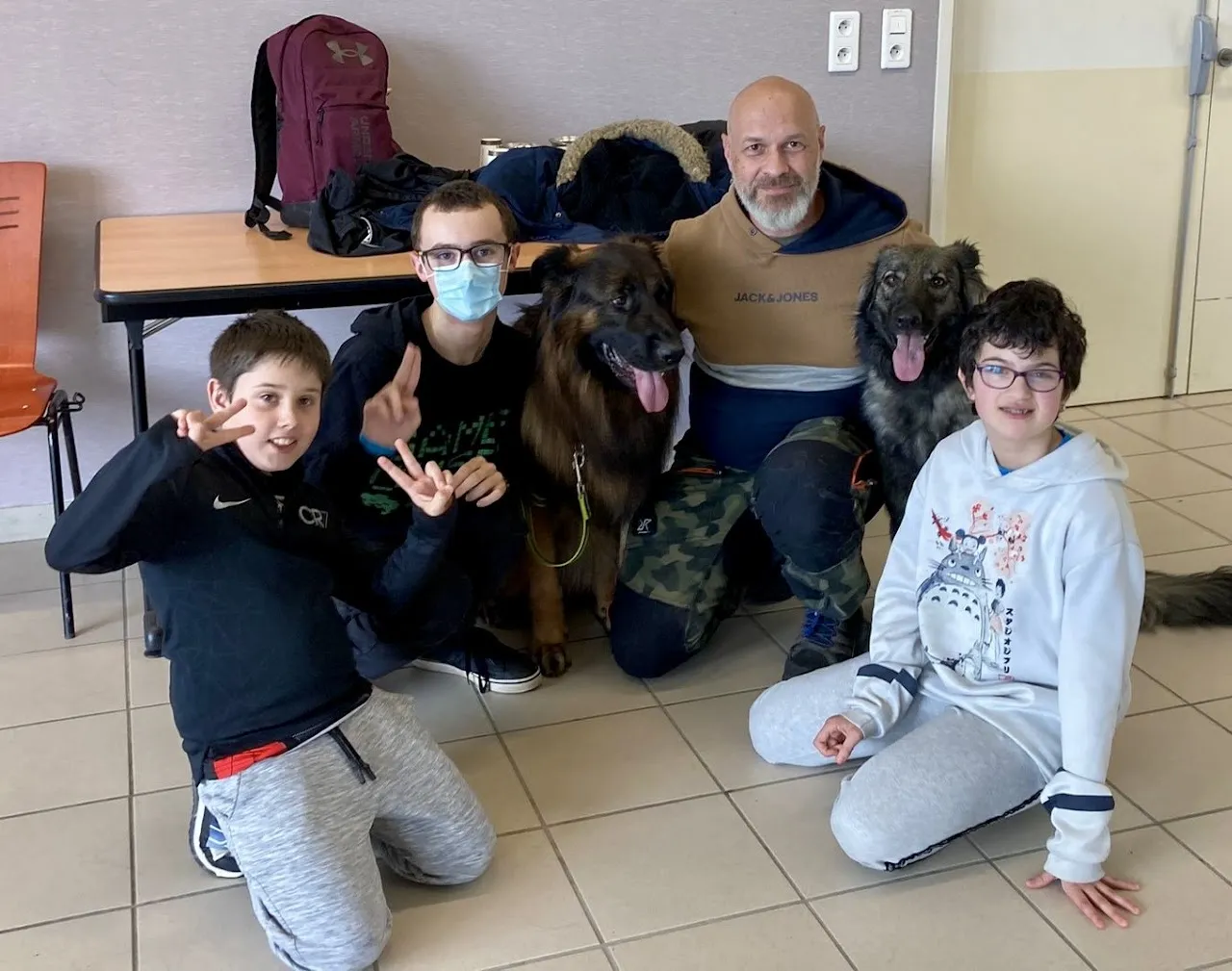 Education de chiens