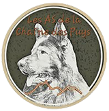 logo as